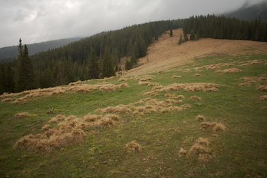 Зразок фото