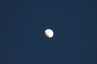 ISO1600