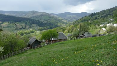 Стоп-кадр