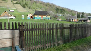 Стоп-кадр