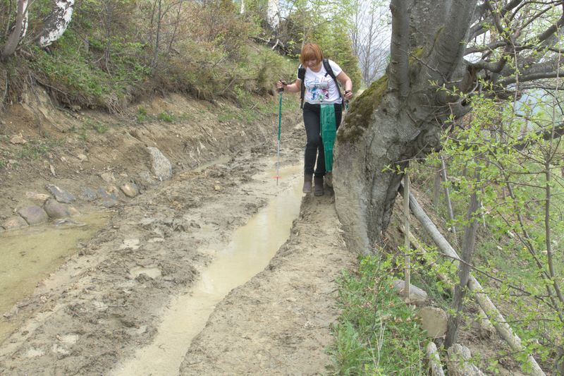 Вихід в гори
