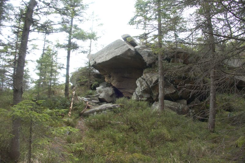 Вихід в гори