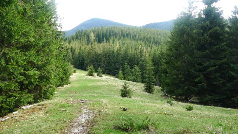 Вихід в гори