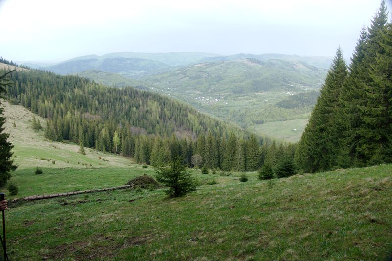 Вихід в гори