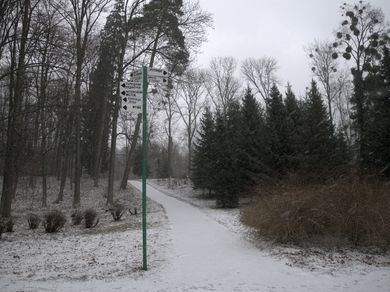 Зразок знімка