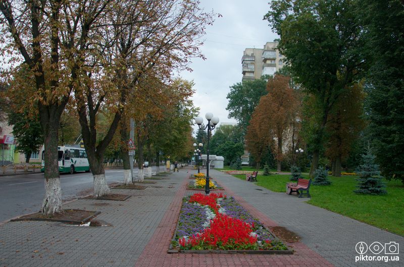 Вулична клумба