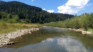 Зразок фотографії