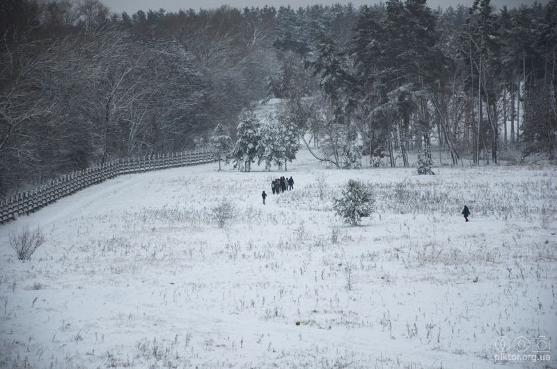 Паркові ландшафти