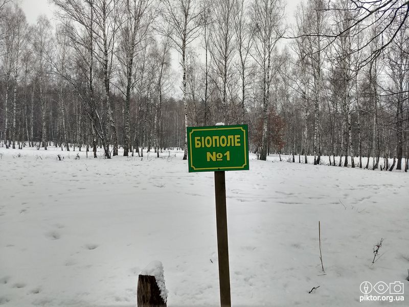 Біополе