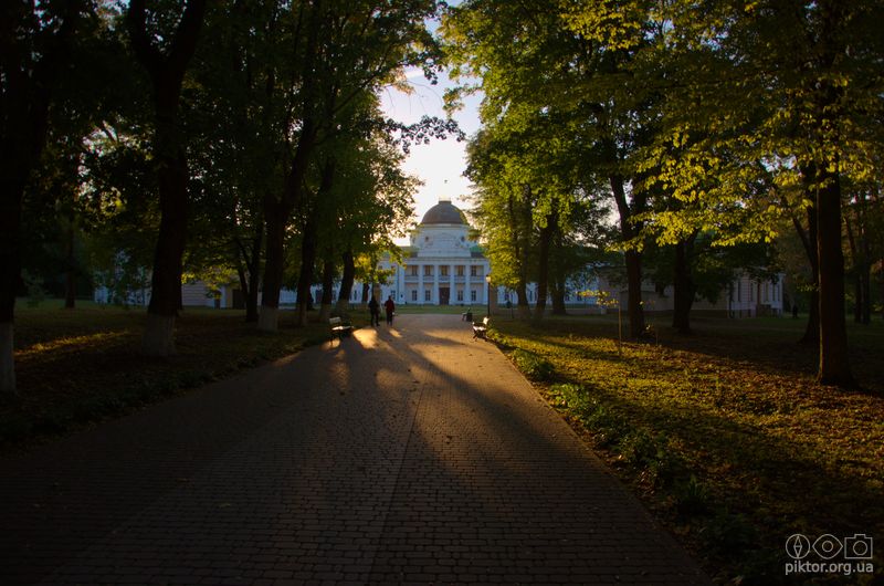 Вечір в Качанівці