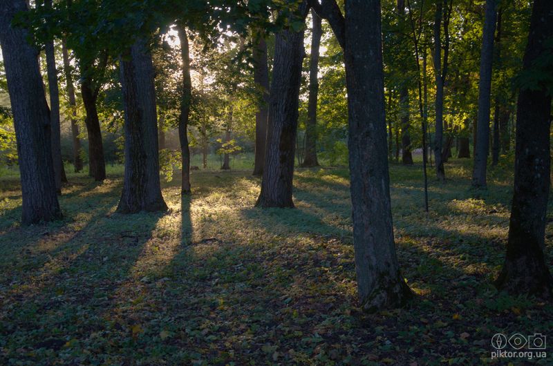 Ранок в Качанівці