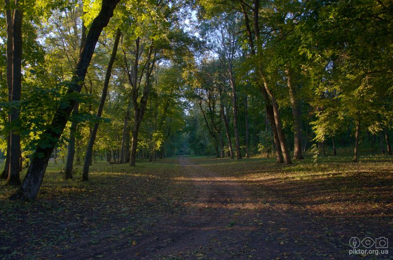 Ранок в Качанівці