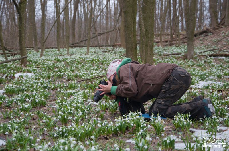 Фотограф підсніжників