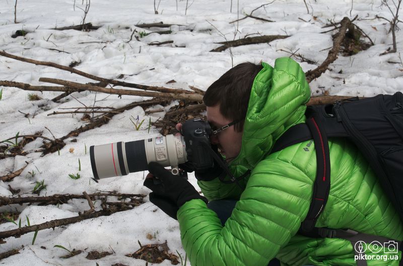 Фотограф підсніжників
