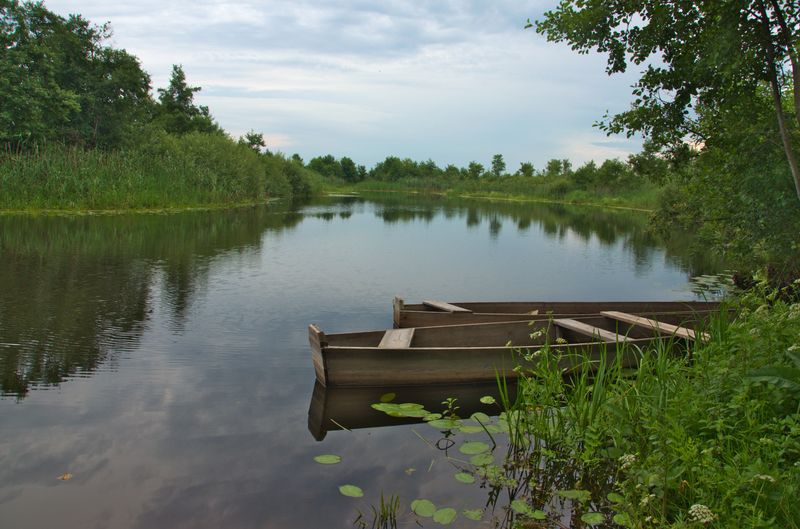 Попівка