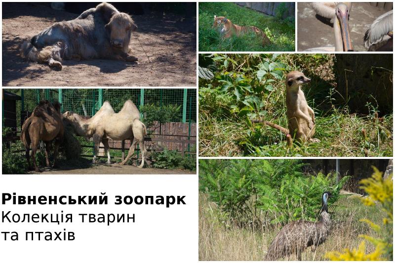Рівненський зоопарк