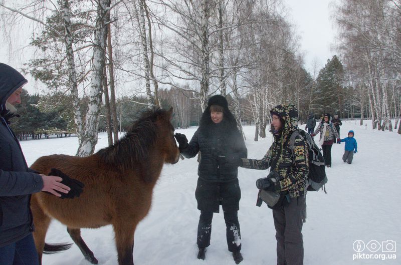 Кобила грабує