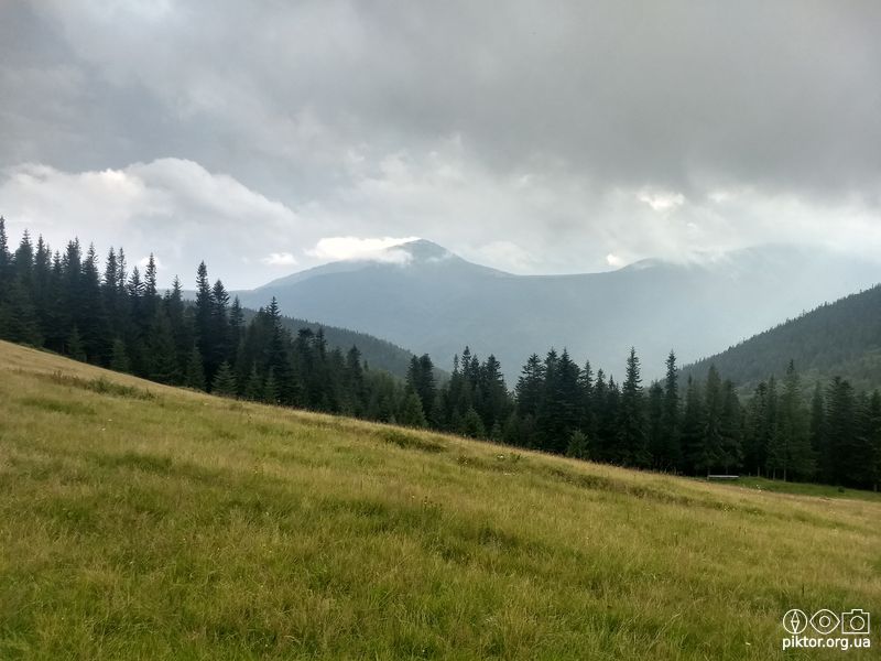Полонина Явірник