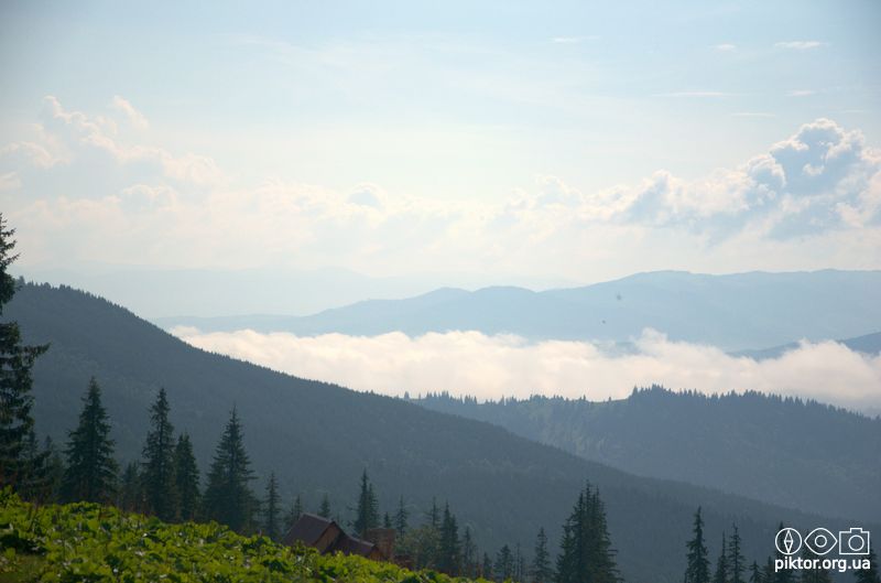 Краєвиди Свидовця