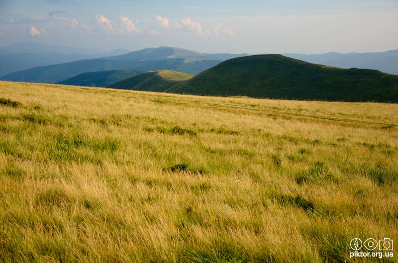 Краєвиди Свидовця