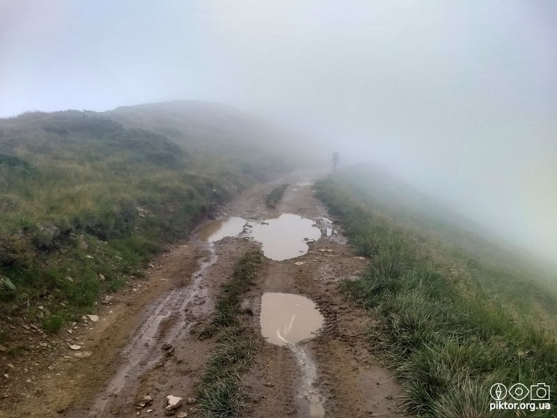Краєвиди Свидовця