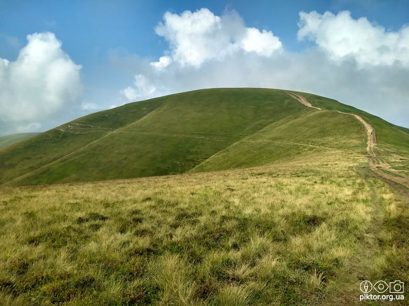 Краєвиди Свидовця