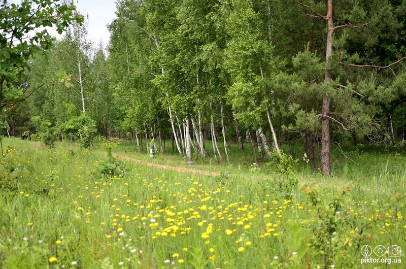 Доріжка по парку