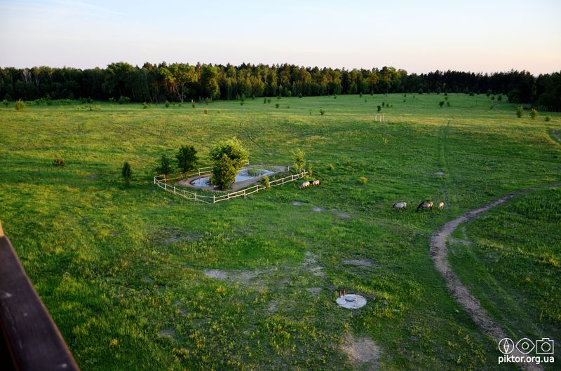 Вечірній парк