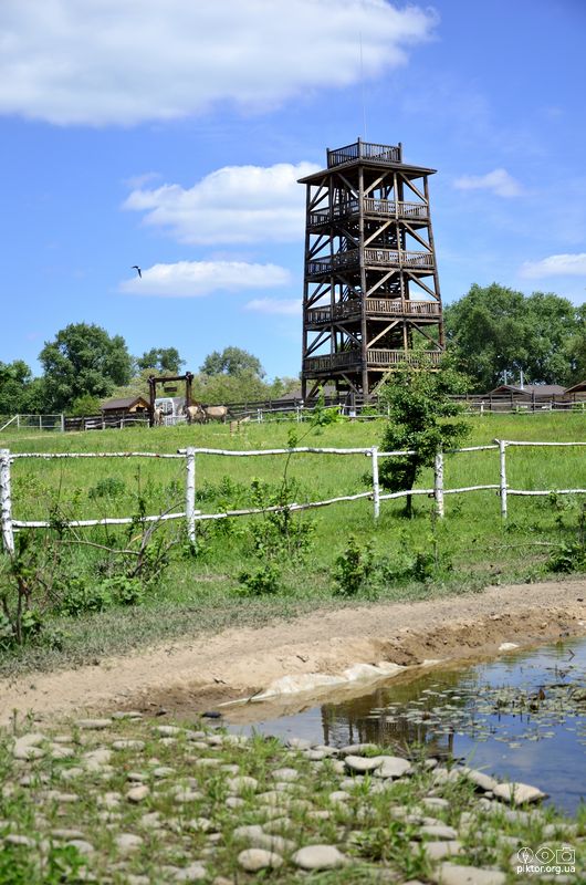 Басейн коло башти
