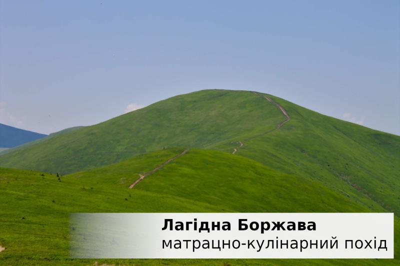 Зелена Боржава