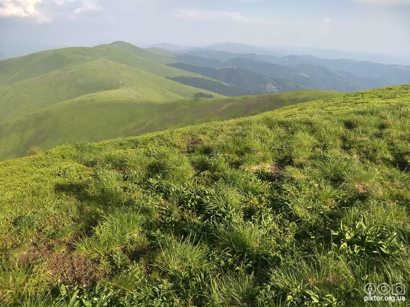 Полонина Боржава
