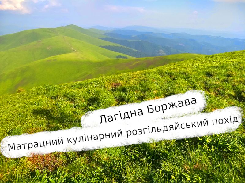 Лагідна Боржава