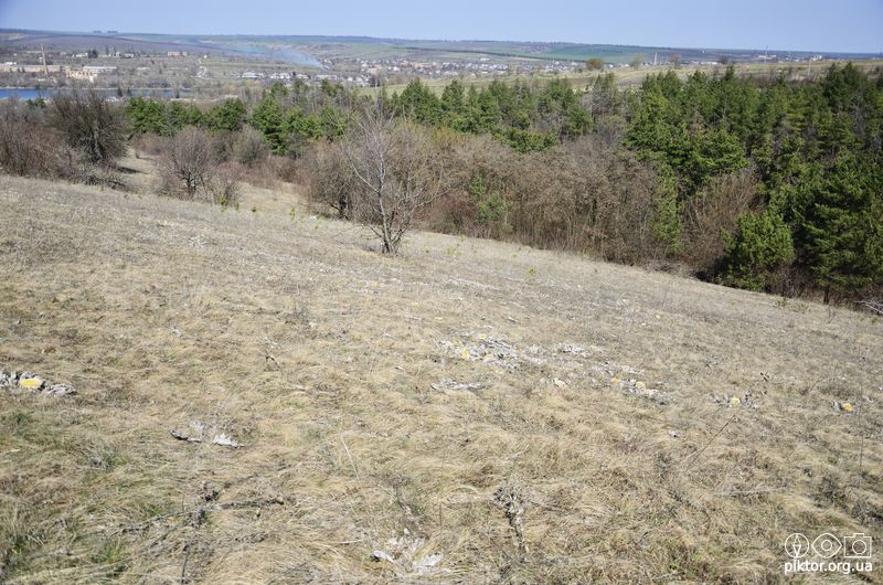 Ареал зростання відкасника татарниколистого