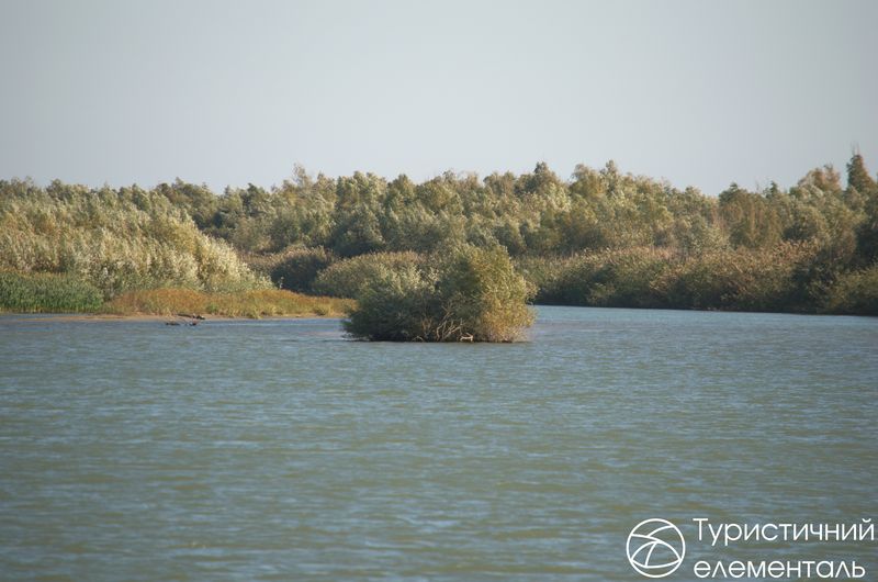 Краєвид дельти Дунаю
