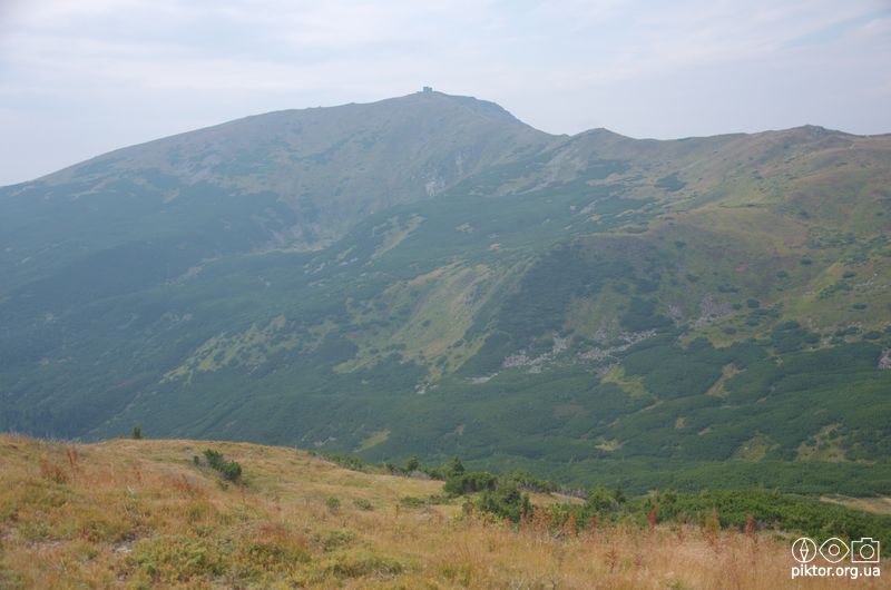Чорногора