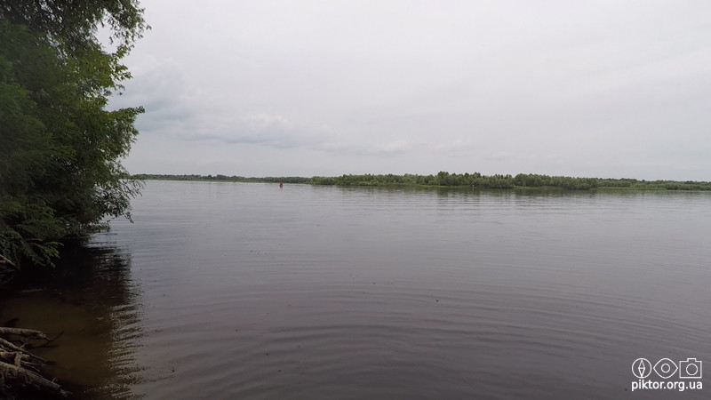 Острів планокурів