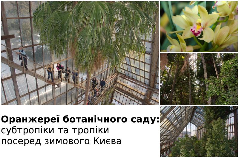 Оранжереї ботсаду Фоміна