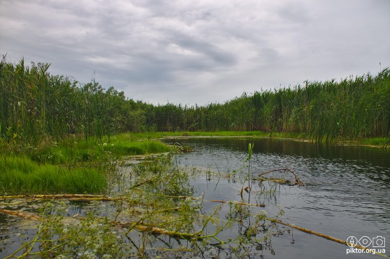 Тупик