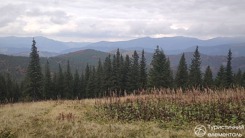 Вид на Горгани
