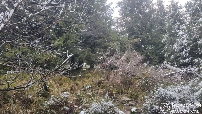 Спуск із Братківської