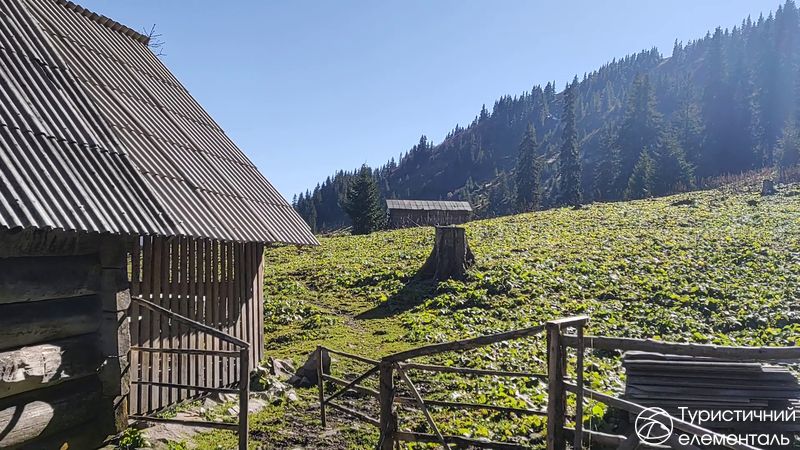 Колиба на полонині Ріпта