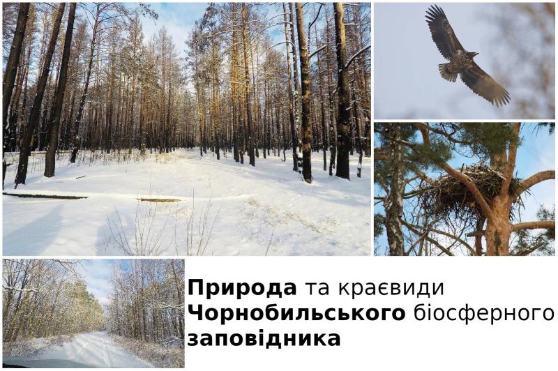 Чорнобильський заповідник