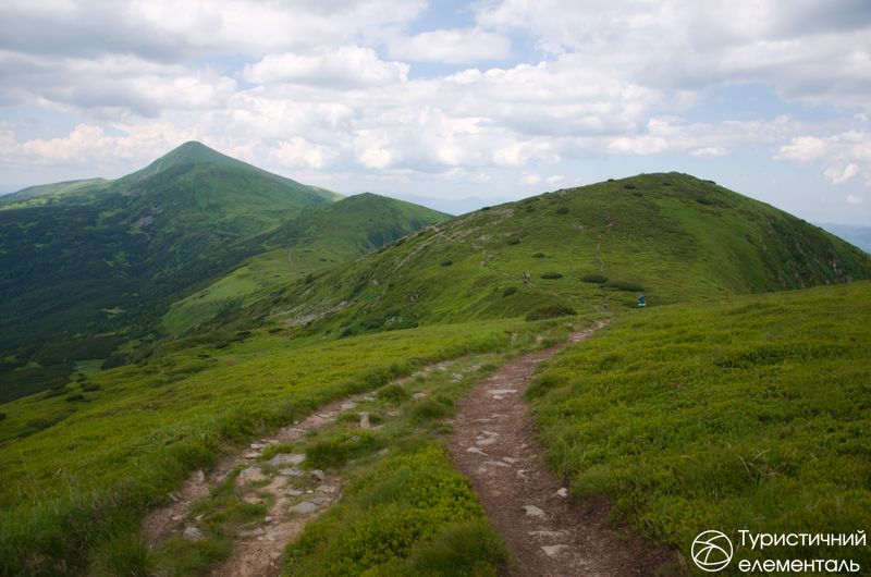 Міньйони Говерли