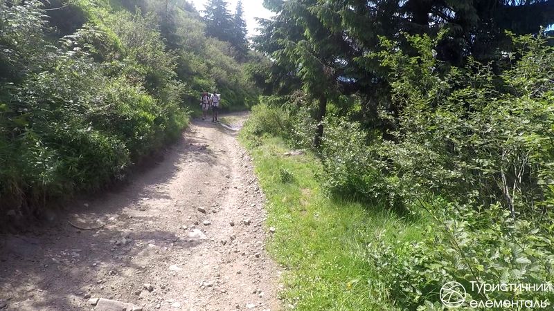 Свіжі туристи