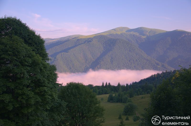 Кваси втонули