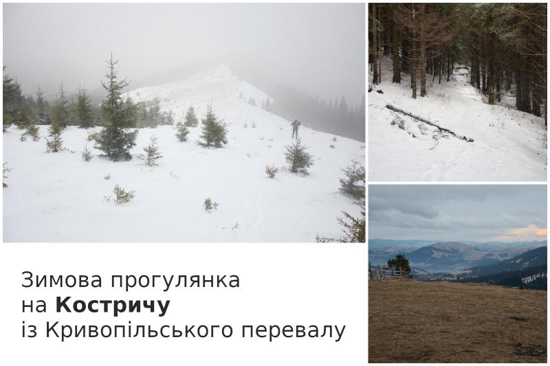 Кострича