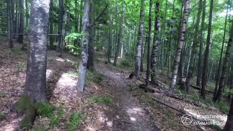 Стежка до Старої Гути