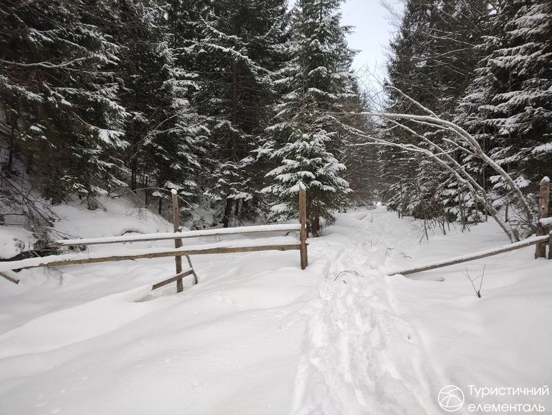 Сліди від саней