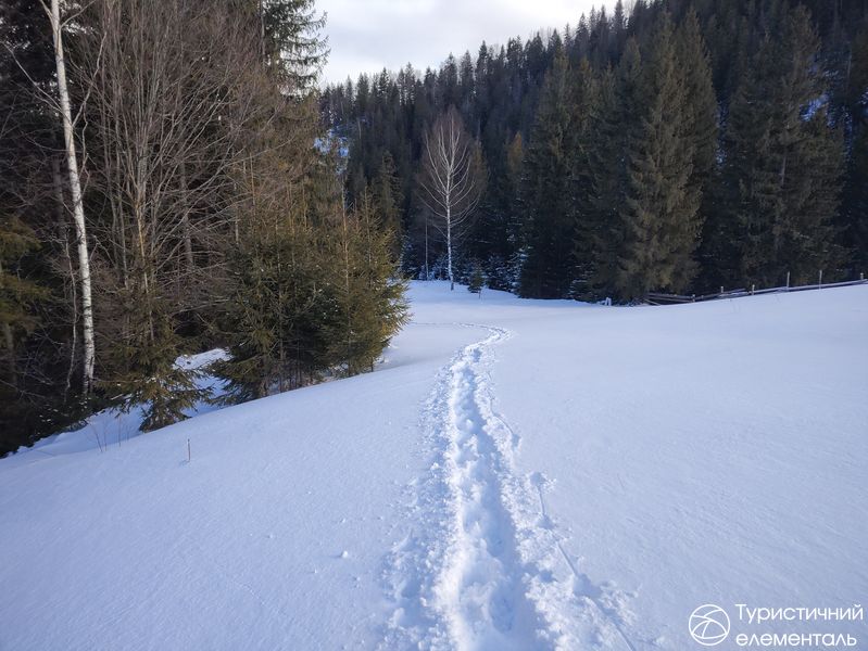 Наші сліди